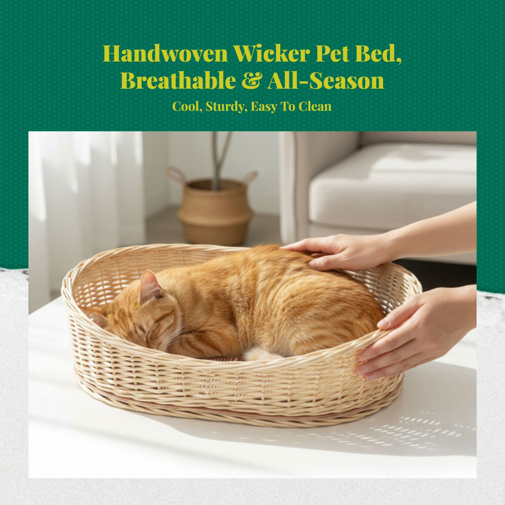 Rattan Pet Bed, Cooling Cat Cave, Removable Pad, Cleanable