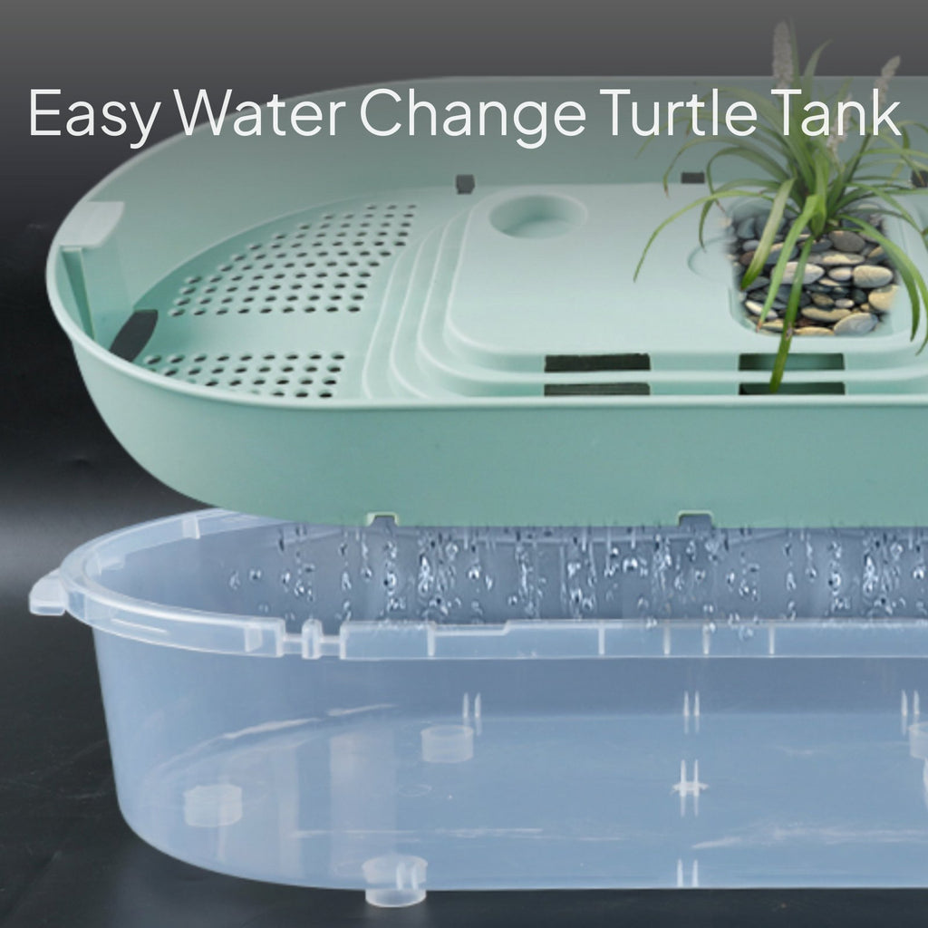 Large turtle habitat, easy-clean