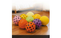 Quiet Foam Pickleball Long-Lasting Indoor Pickleball Ball Practice Training