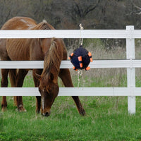 Horse Feed Ball Boredom Relief Carrot Feeding Ball Foraging Behavior for Pasture