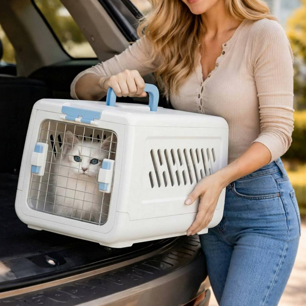 Airline Pet Carrier Top Handle Cat Travel Crate Spacious Interior for Car Rides