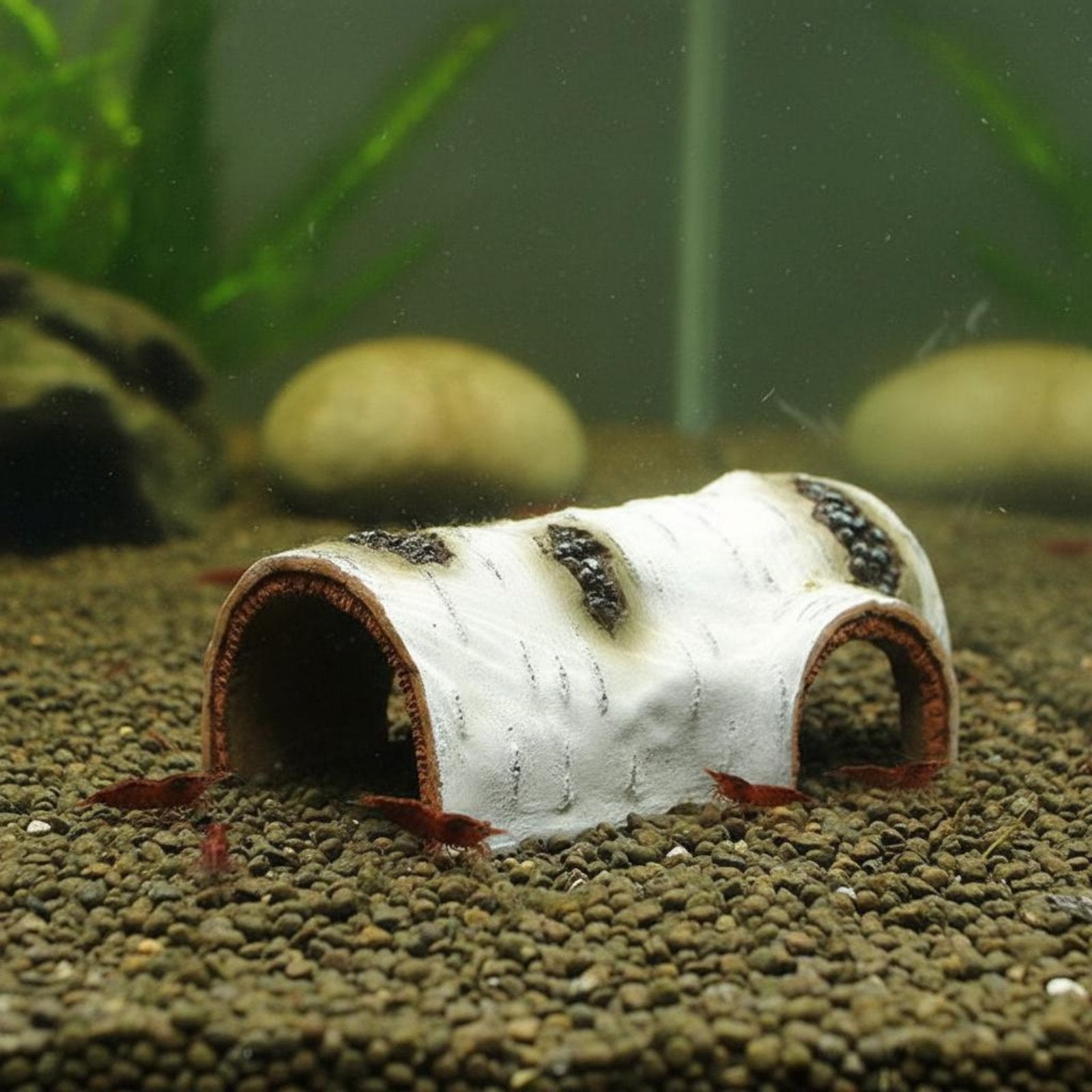 Aquarium Hideout Cave Naturalistic Design Arched Log Shelter Material