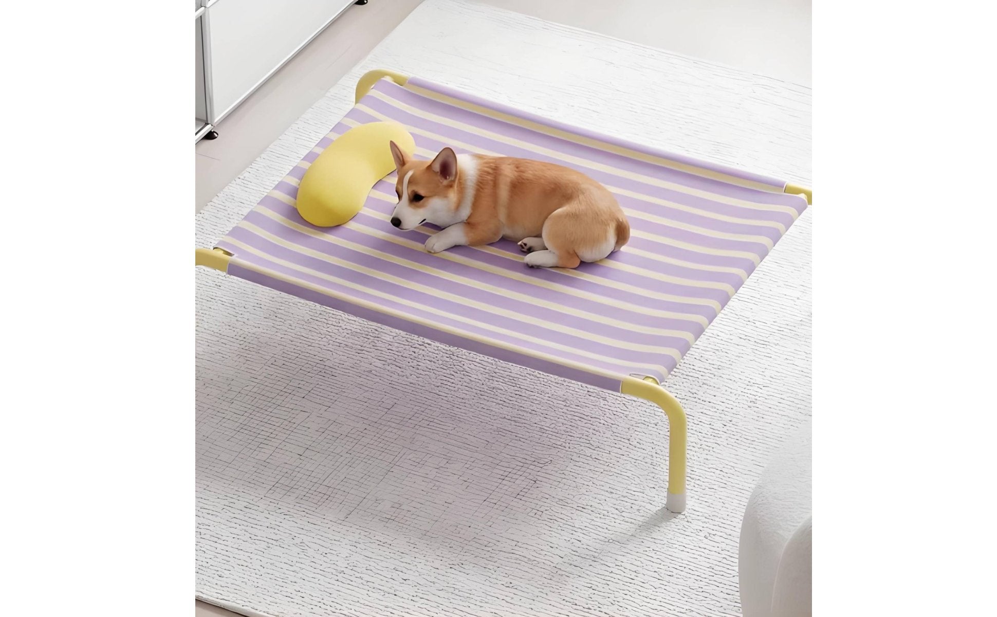 Removable Washable Elevated Dog Bed Easy to Clean Portable Pet Cot Bed Breathable Strong Load Bearing for Indoor