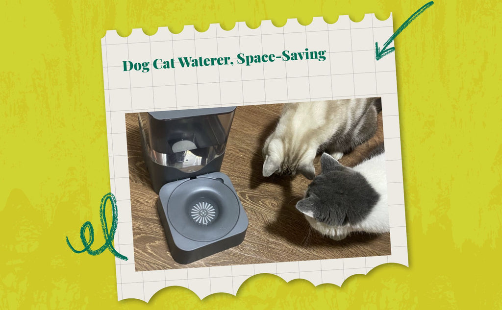 Pressure-fed pet water bowl, no power