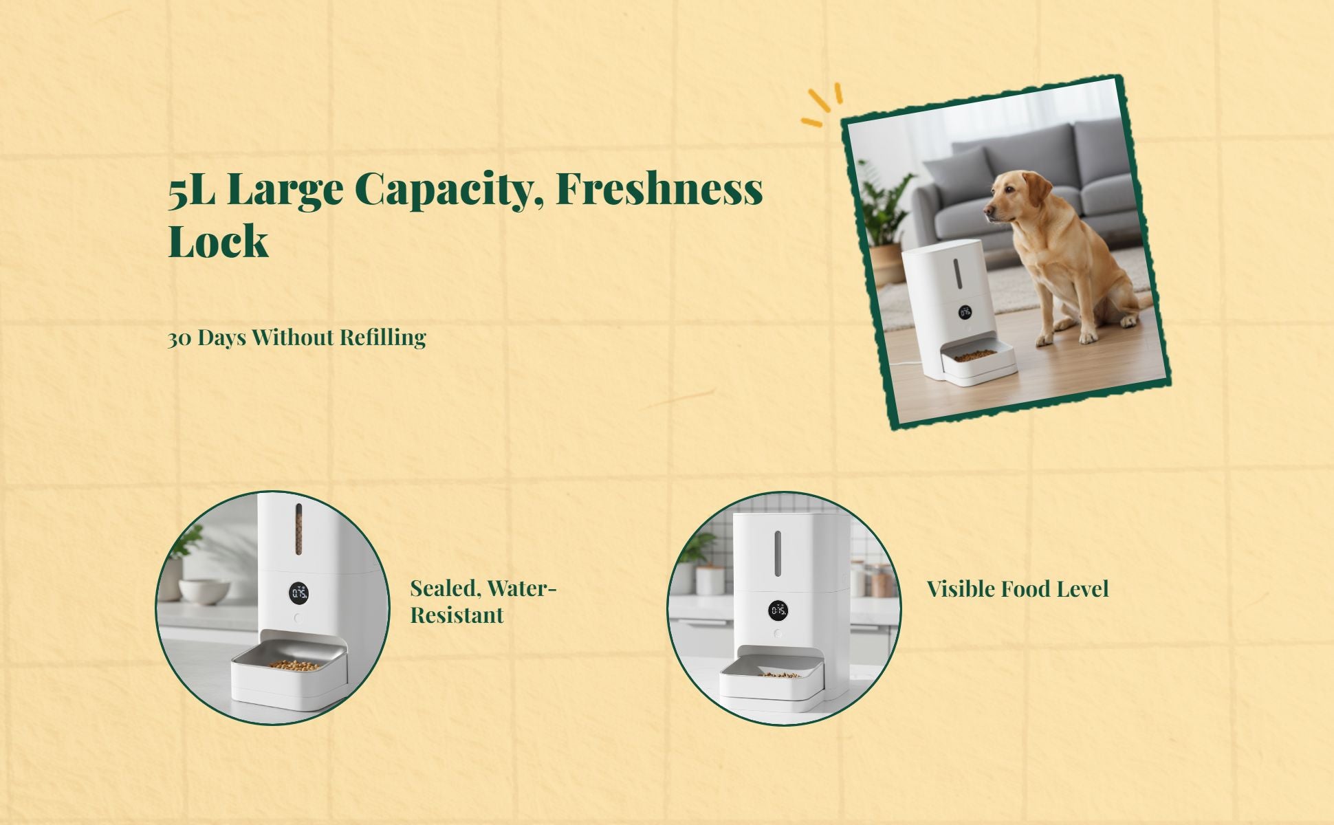 App-controlled auto pet feeder