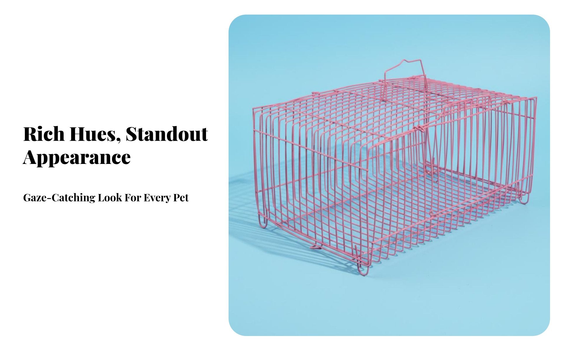 50 Pieces Hand-Held Chick enclosure Portable livingstock Crate Stackable for Farm, &fairplace