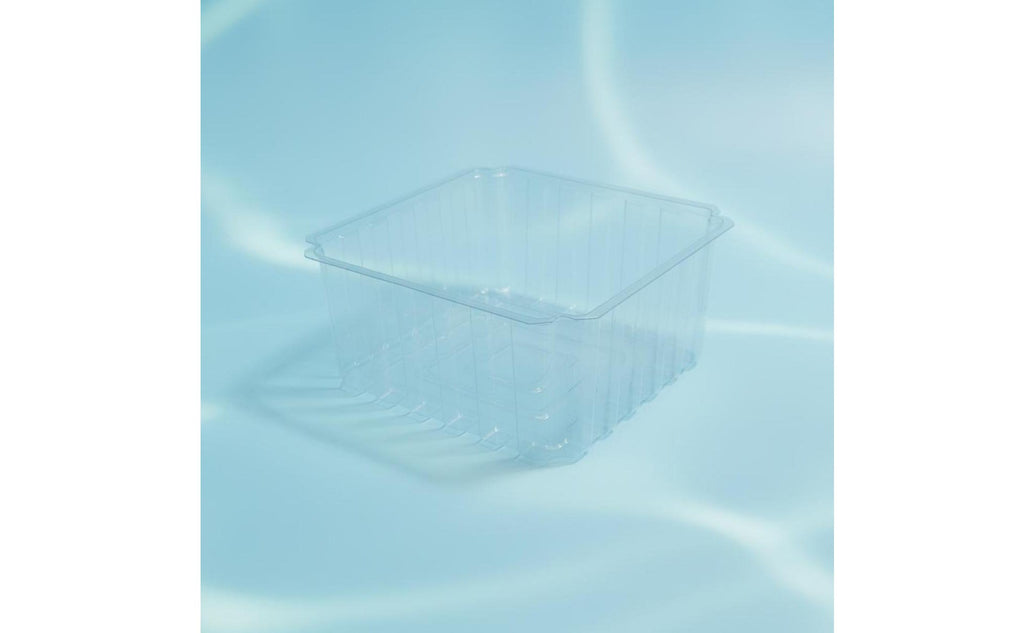 Deep Water Turtle Basin Multi-Functional Design Terrapin Basking Enclosure