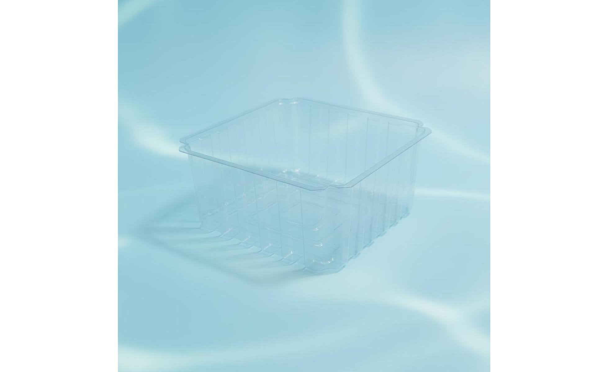 Deep Water Turtle Basin Multi-Functional Design Terrapin Basking Enclosure