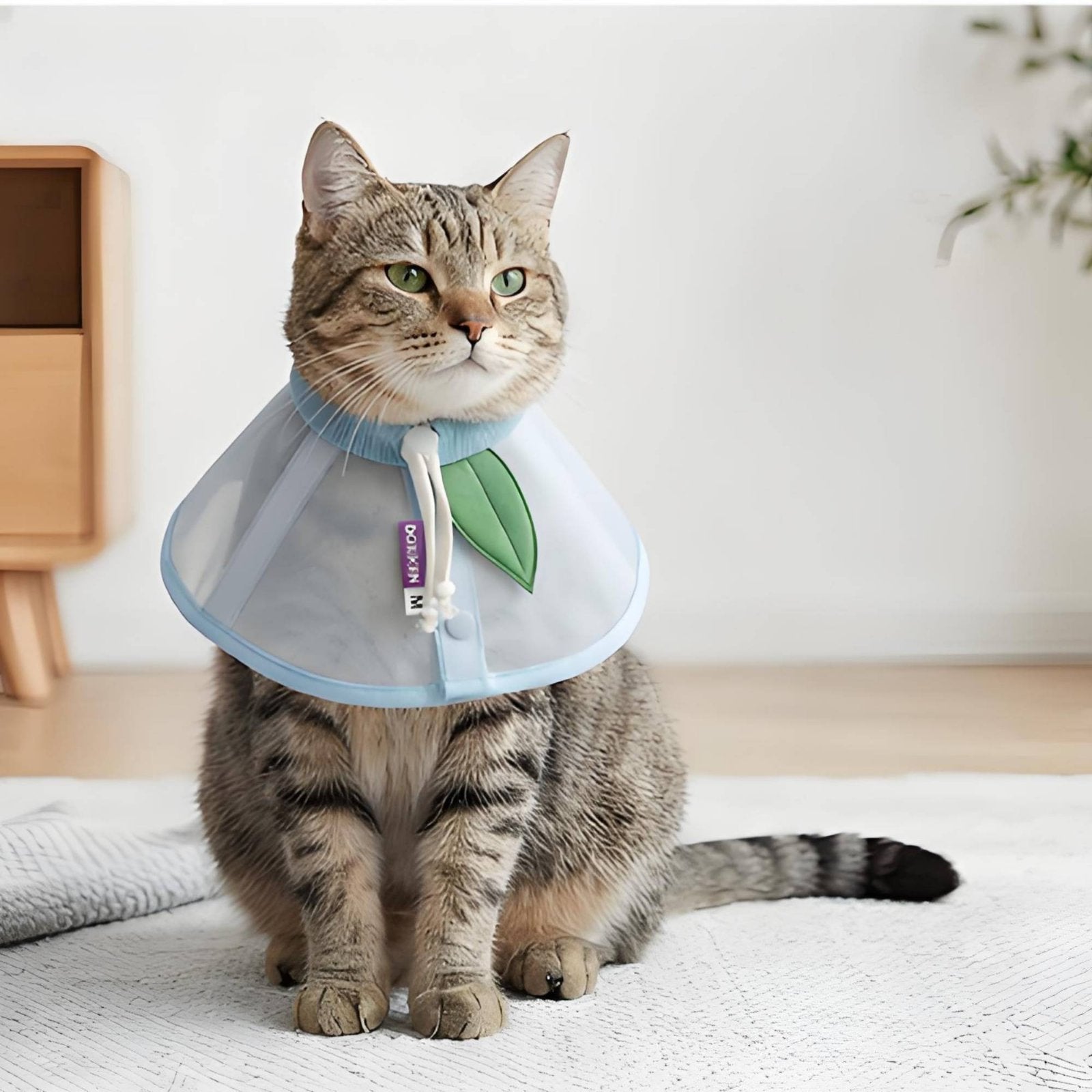 Elizabethan Collar Anti-Lick Breathable E-Collar Easy to Clean for Recovery