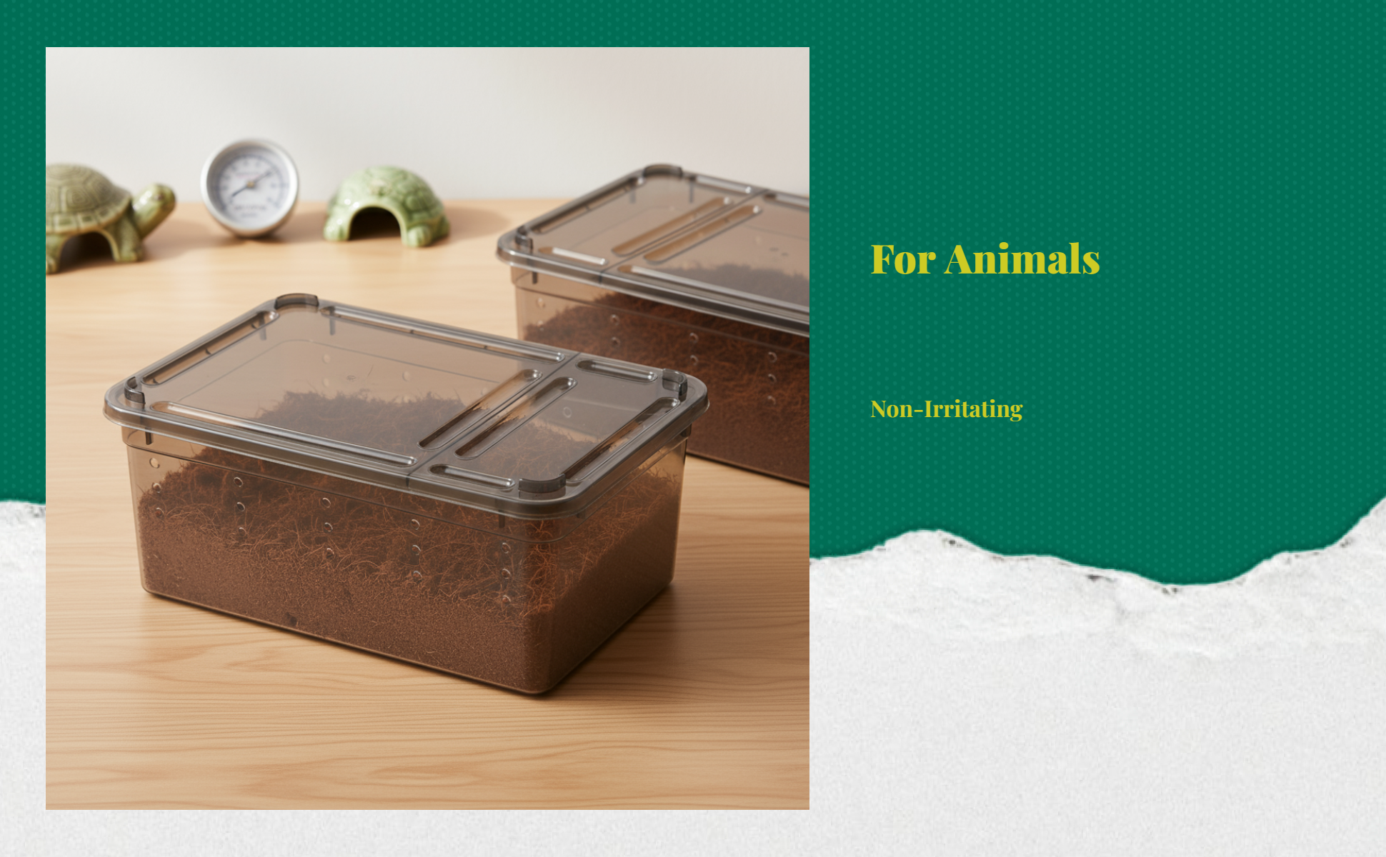 Turtle hibernation kit: resin base