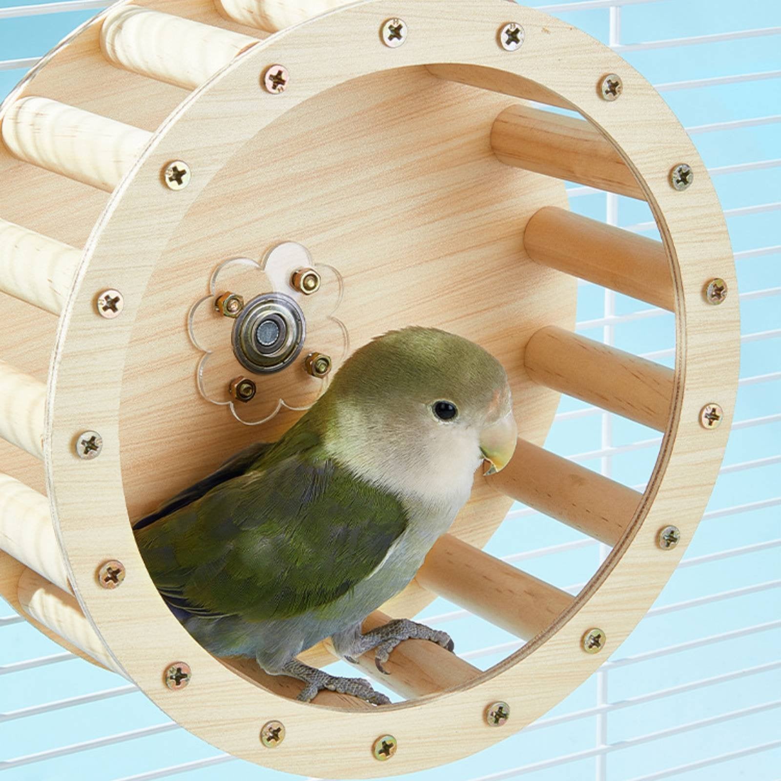 Parrot Running Wheel Interactive Bird Perch Treadmill Healthy Beak Maintenance