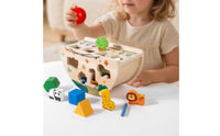 Educational Sorting Toy Reasoning Training Wooden Shape Sorting Toy