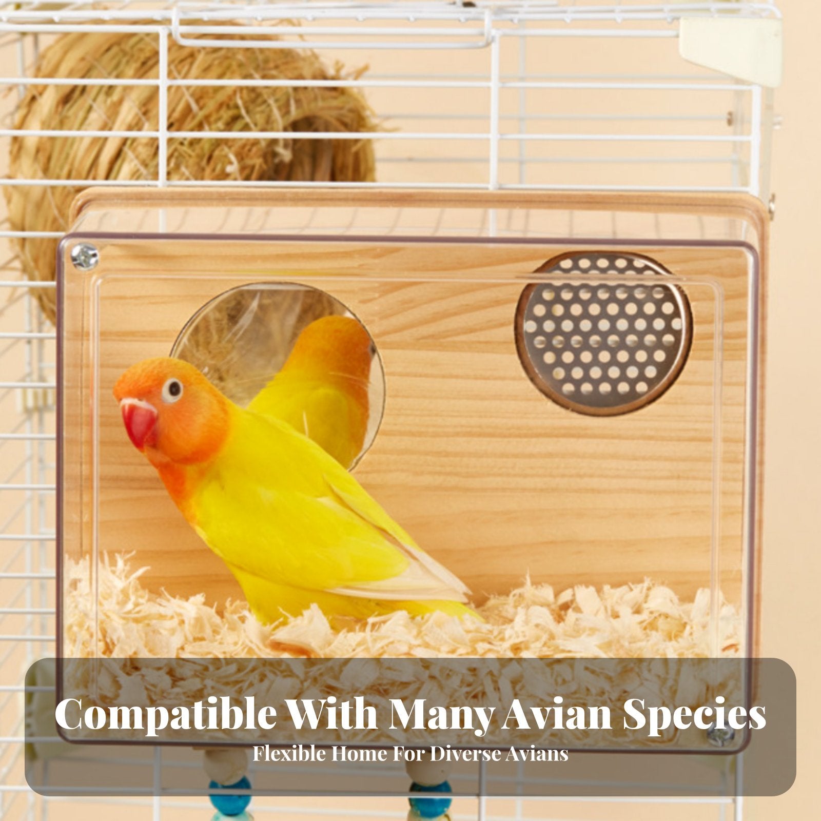 Transparent Breeding Box Keeps Warm avianhouse Easy Installation for Aviary, Home