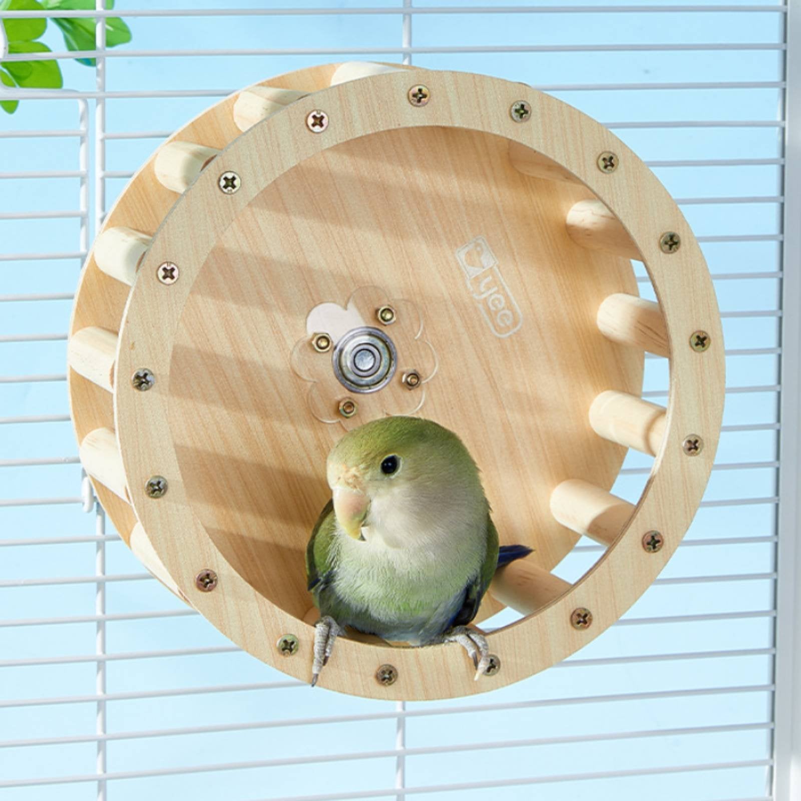 Parrot Running Wheel Interactive Bird Perch Treadmill Healthy Beak Maintenance