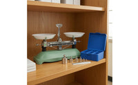 Tray Central Pointer Classroom Balance Scale Storage Box School Lab Apparatus for Teachers, Students