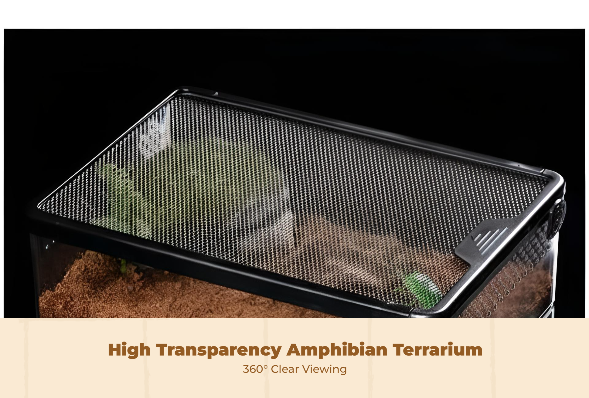 Acrylic turtle terrarium, easy clean