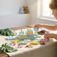 Educational Shape-Matching Toy Insertable Peg Peg-Mounted Shape Pieces Toy