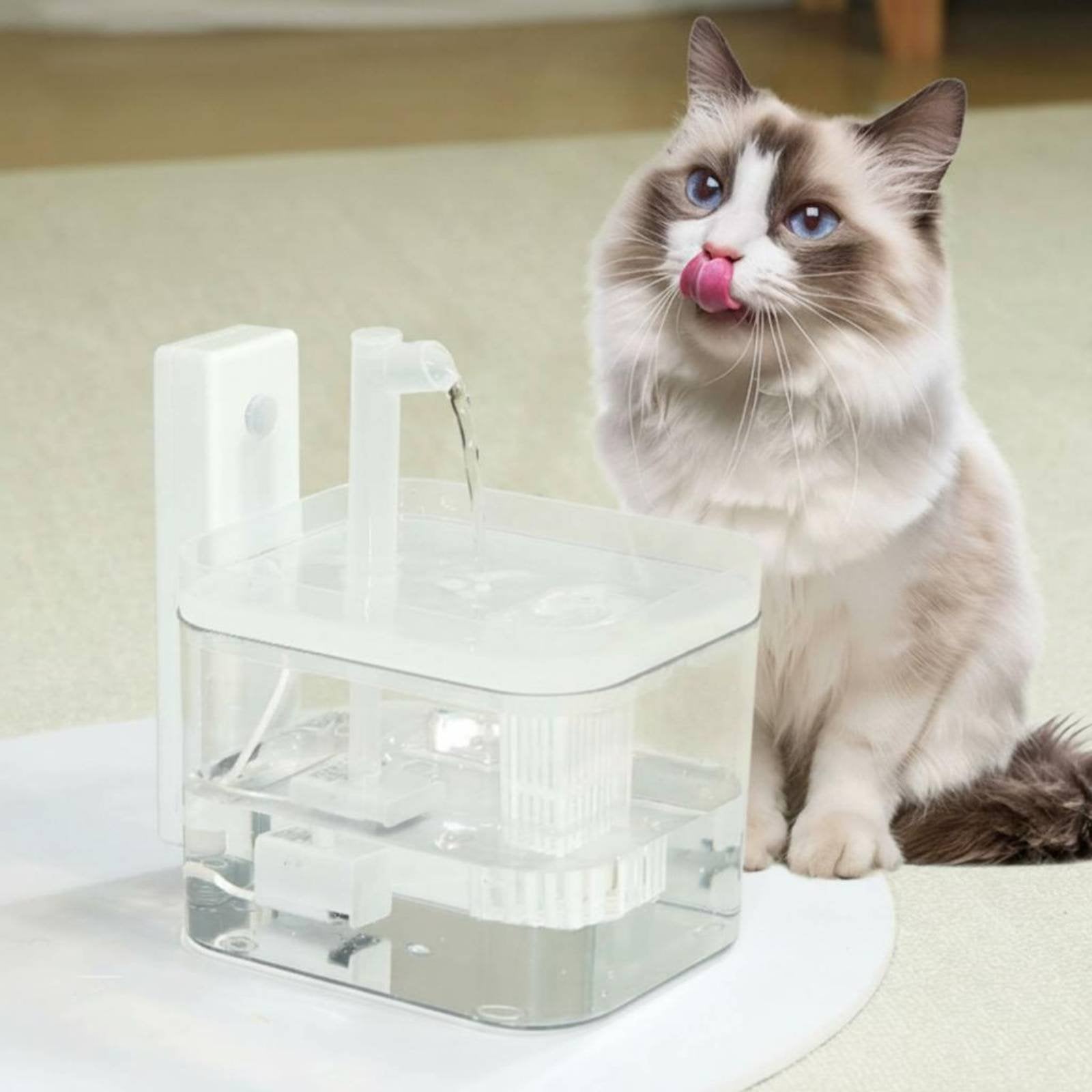 Circulating Feline Water Dispenser Ultra-Quiet Pump for Cats