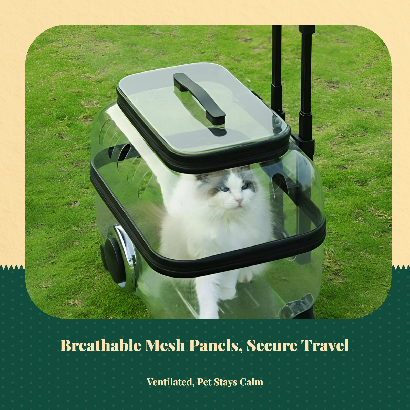 Expandable foldable pet carrier