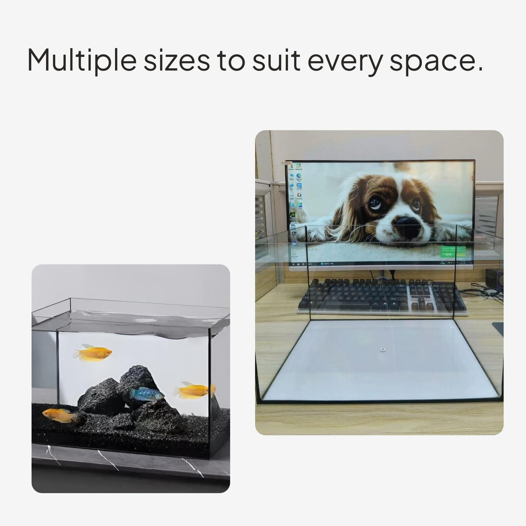 Glass Desktop Aquarium, Rectangular Black Silicone, Lid