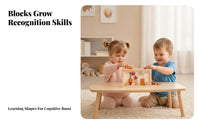 Rounded Edges Wooden Shape Matching Toy Wooden Shape Matching Board Compact