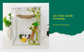 Ventilated acrylic terrarium for amphibians