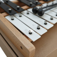 27 Note Glockenspiel Christmas Gift 27 Key Metallophone for Beginners, Kids