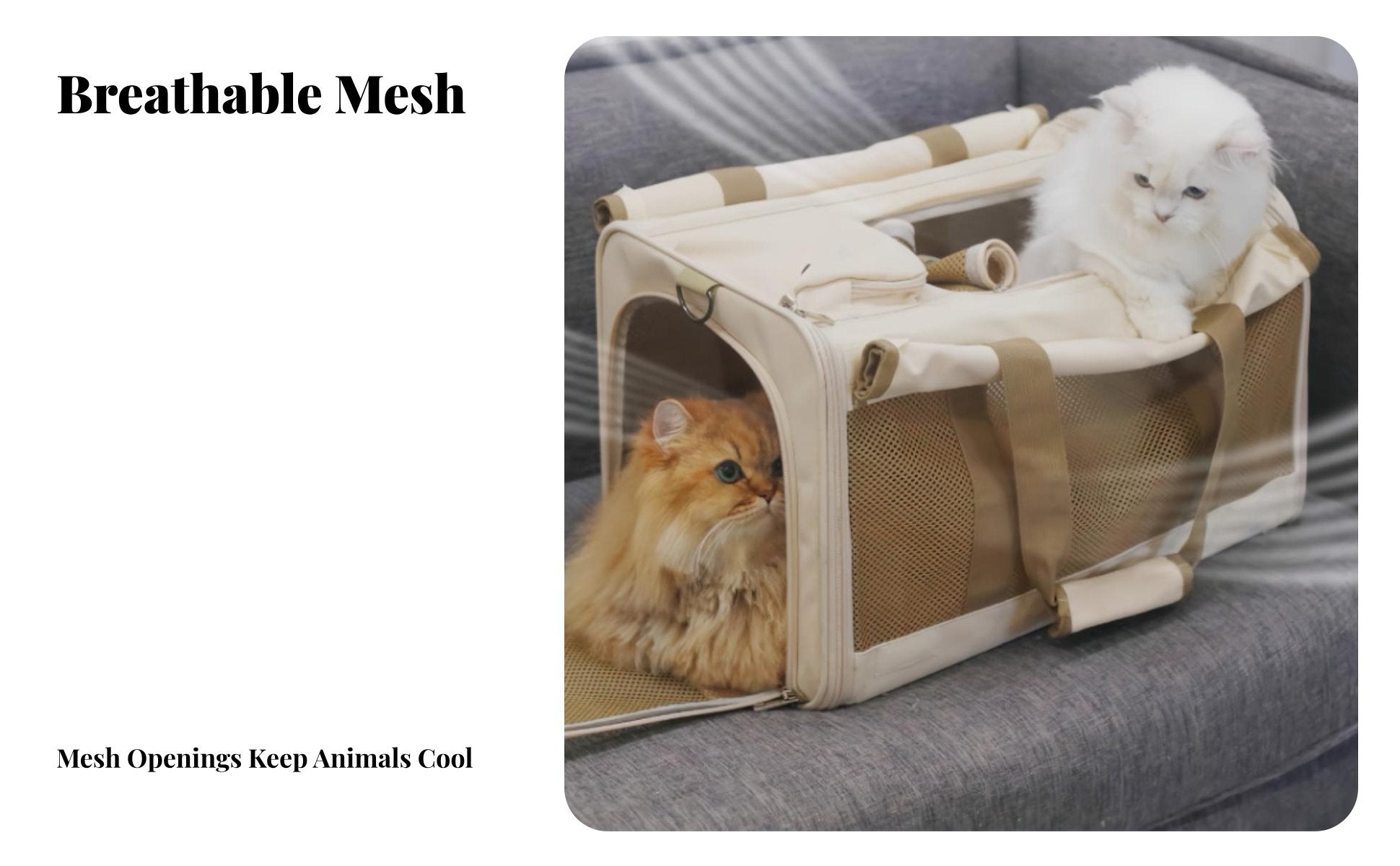 Soft-Sided Pet Tote Large Capacity Mesh Travel Bag for Pets Spacious Interior