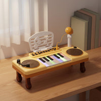 Music Audio Controller Board Early Learning DJ Music Keyboard Educational