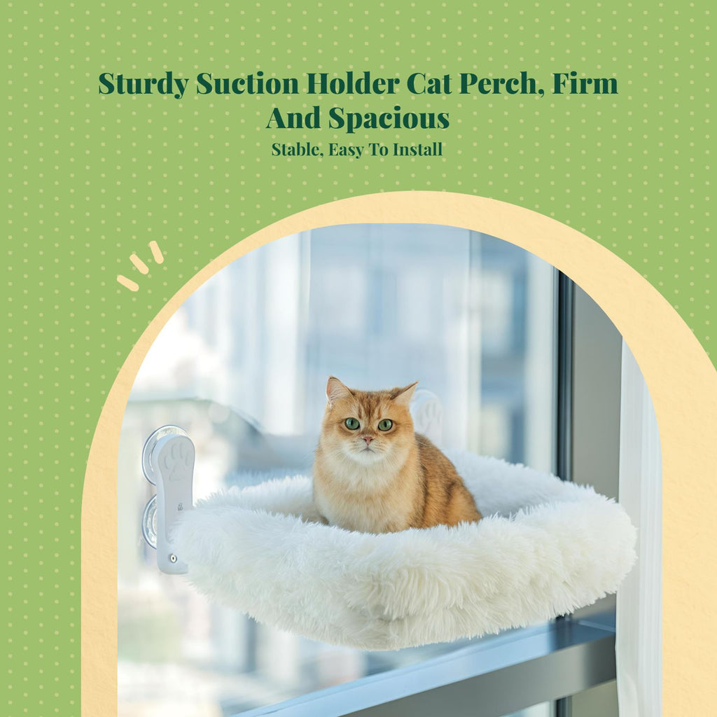 Cat shelf with suction mount.