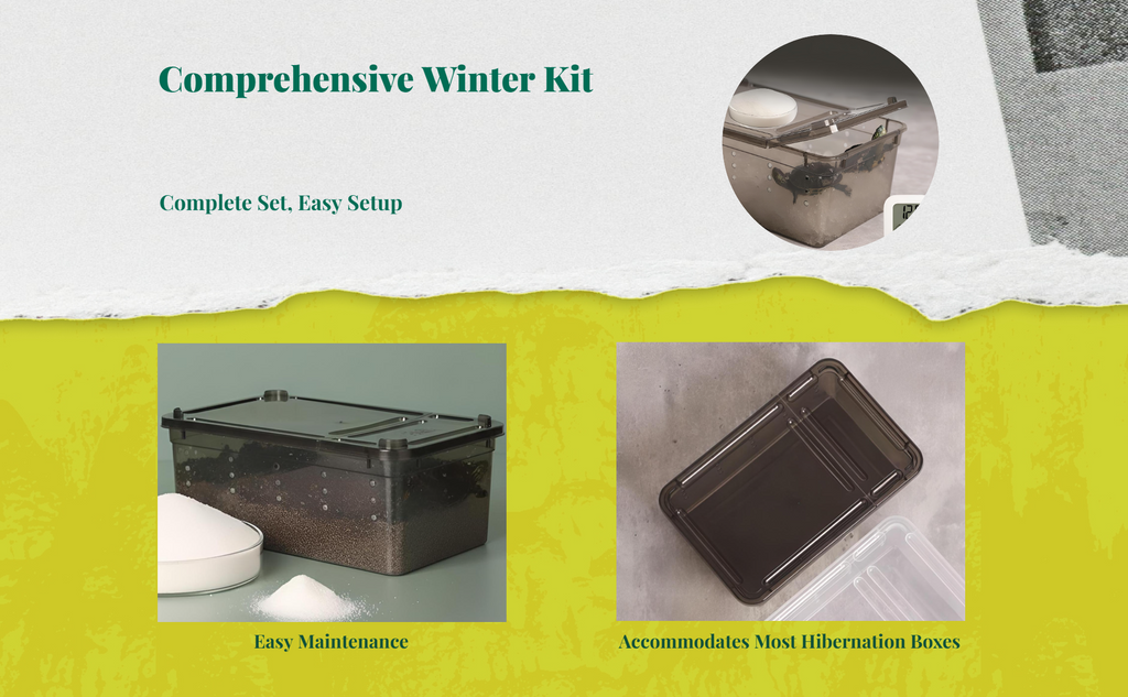 Turtle hibernation box retains moisture
