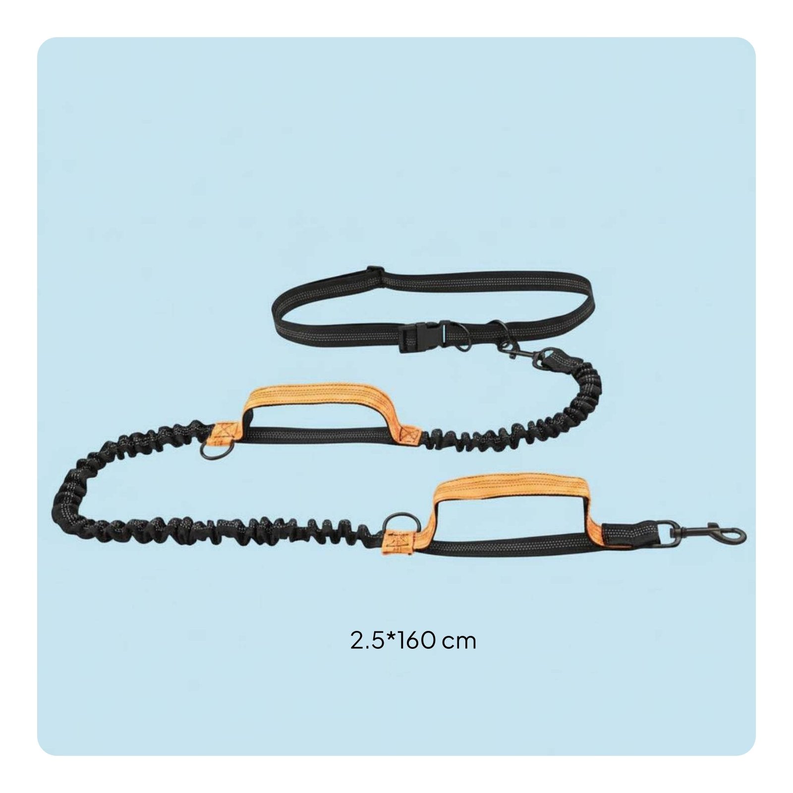 Double Bungee Leash Elastic Running Leash Shock Absorbing for Jogging, Runners