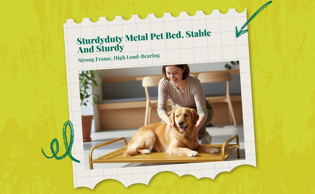 Gnaw-resistant dog bed, easy clean.