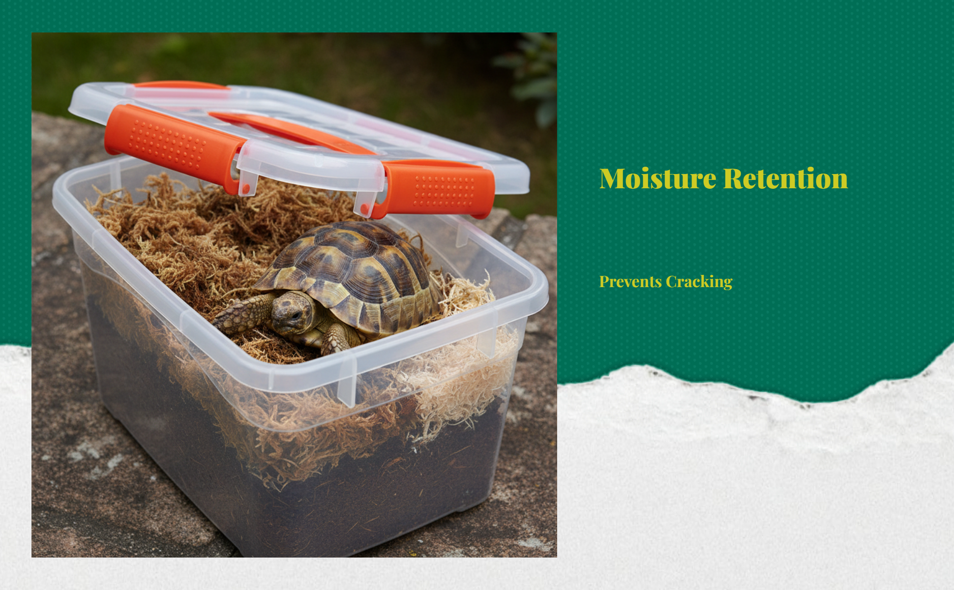 Turtle hibernation box with coconut coir