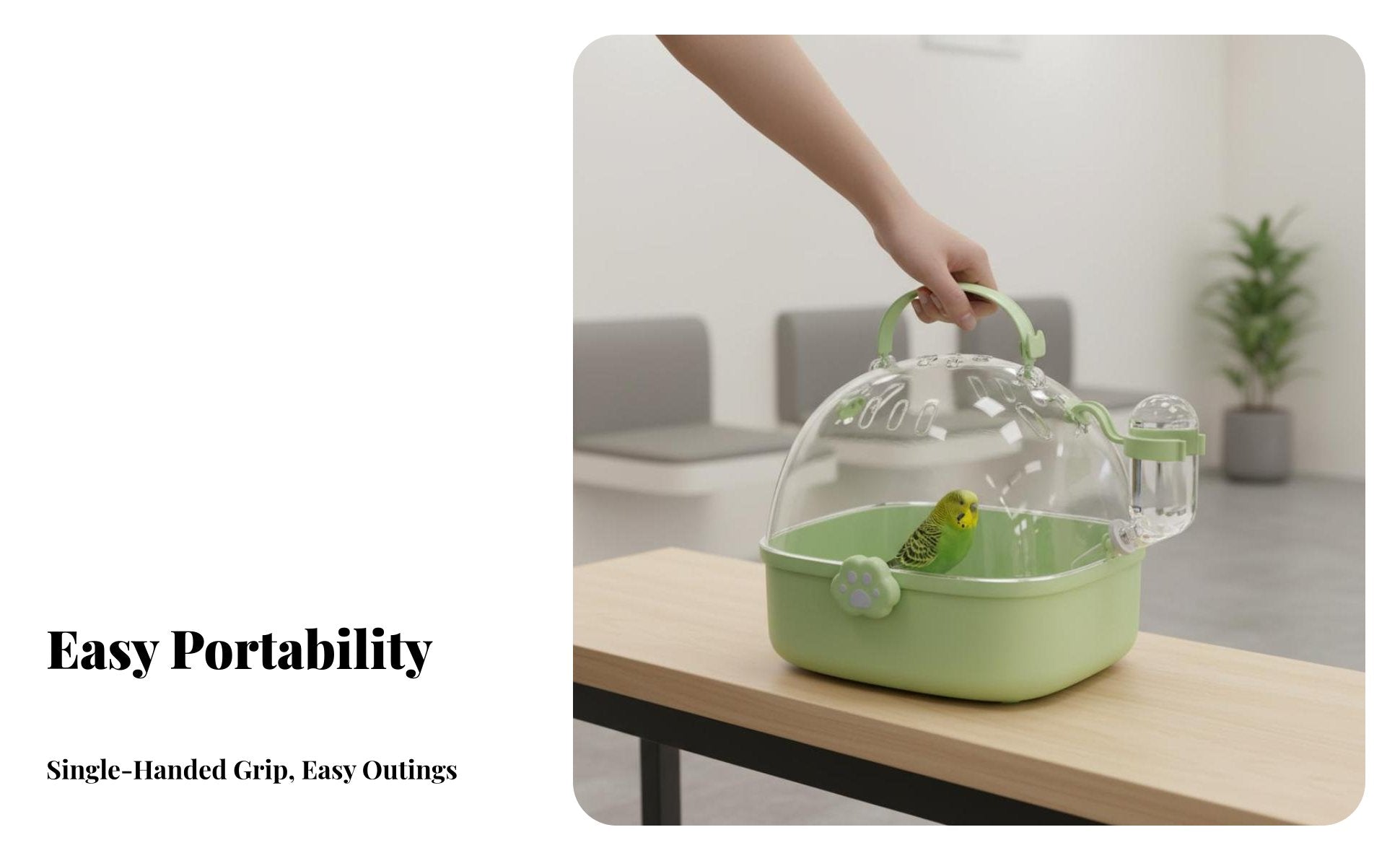 Transparent Parrot Transport carrier Portable Transparent avian Transporter