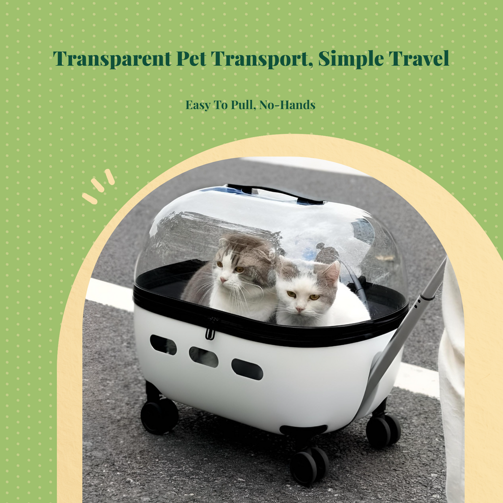 Expandable foldable pet carrier
