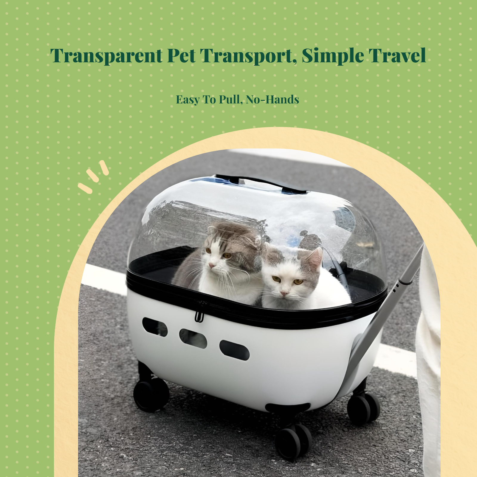 Expandable foldable pet carrier