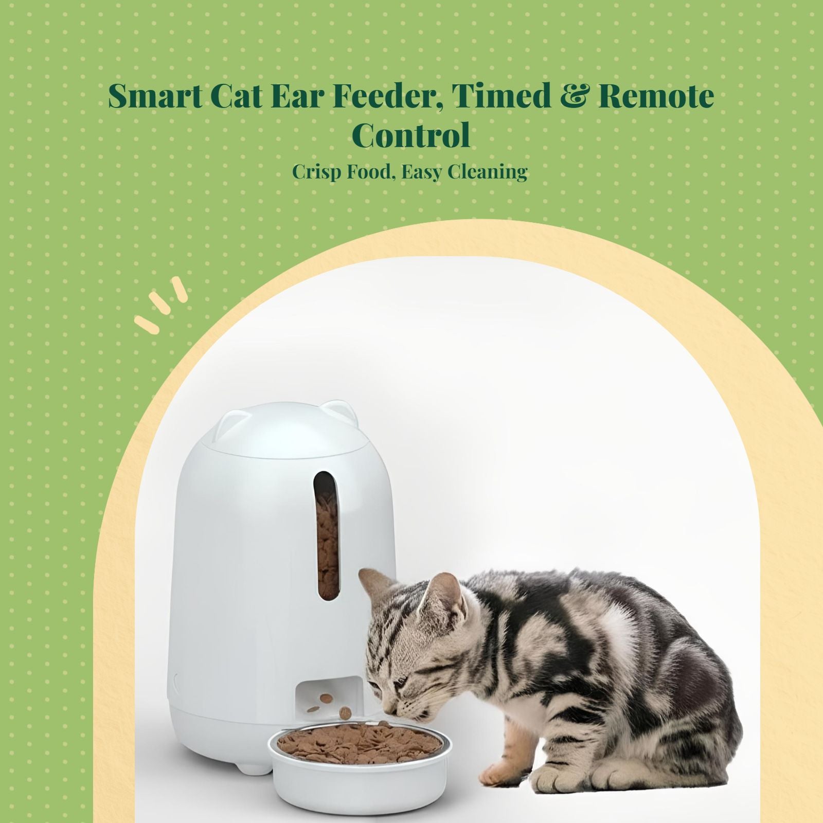 Programmable cat feeder with app control.