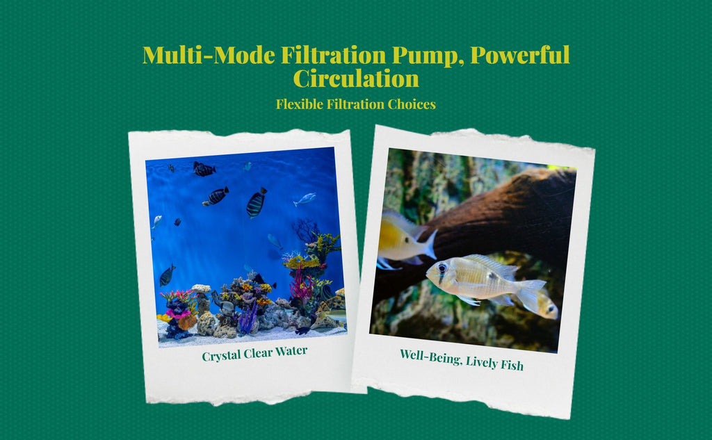 Immersible water circulator, extremelyquiet circulation pump for aquatic habitats, mini filtration, fish tanks, ponds, water features, hydroponics.