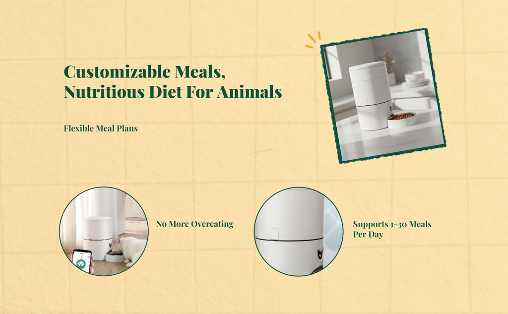 App-controlled pet feeder, timed meals