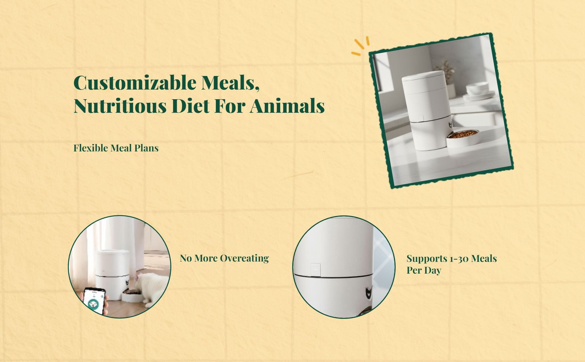 App-controlled pet feeder, timed meals