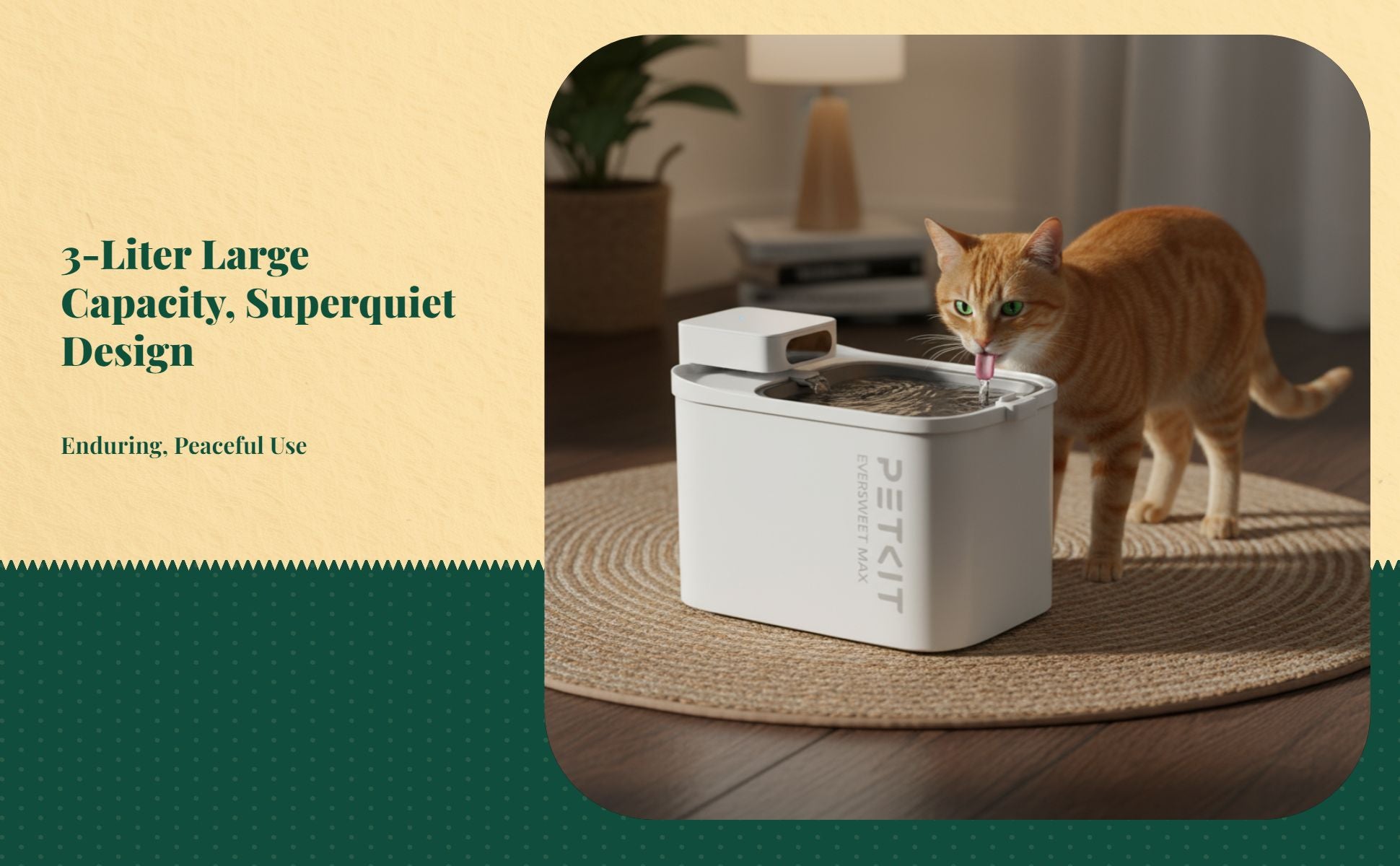Cordless Cat Water Fountain, Quiet