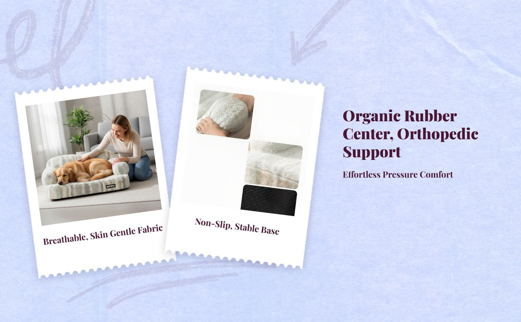 Orthopedic dog bed with removable cover
