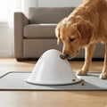 Treat Hiding Toy Polished Interactive Dog Toy Foraging