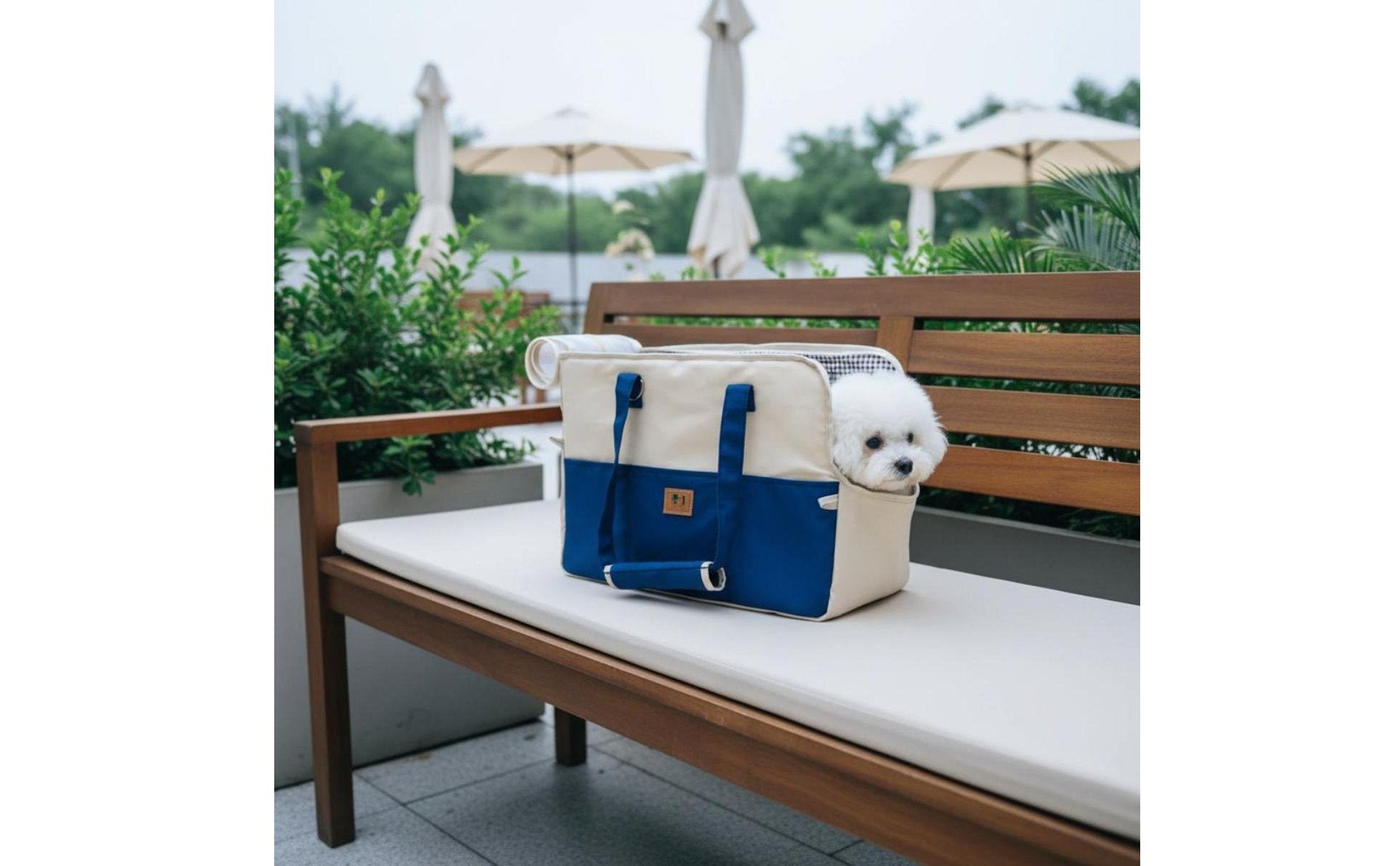 Pet Shoulder Carrier Lightweight Portable Dog Carrier Mesh Window for Outdoor