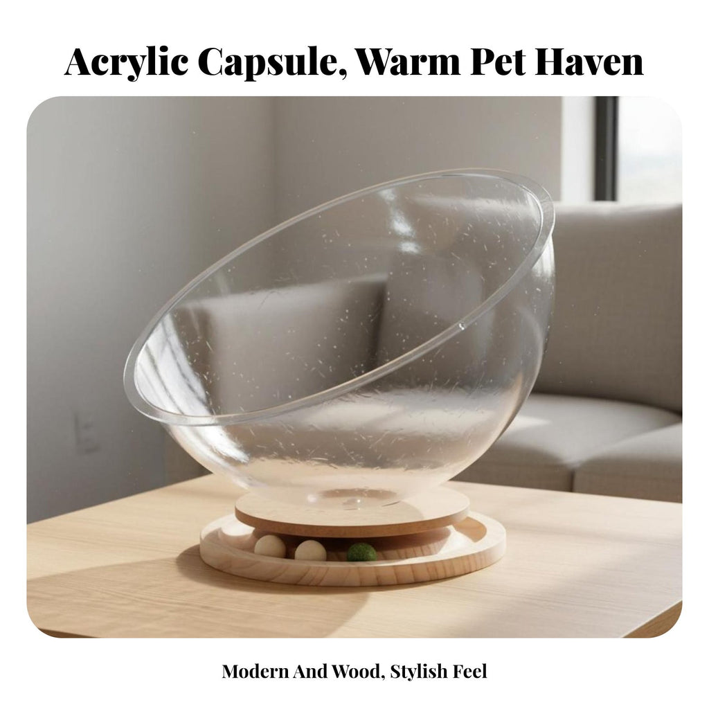 Space Capsule Feline Bed Built-in Spherical Pet Toyball Toy Transparent Feline Do and Me Snug Stable Base for Indoors