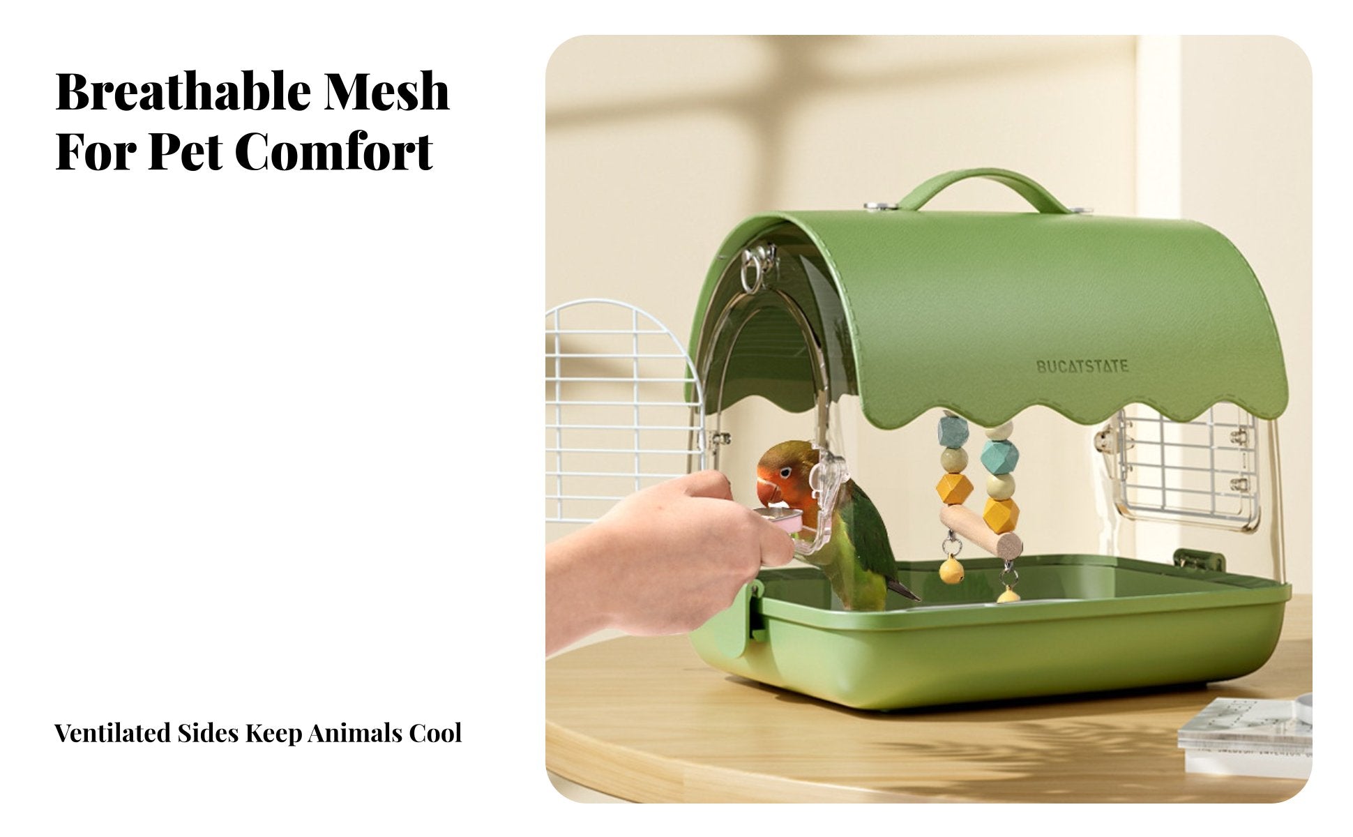 Clear View Parrot transport Portable Parakeet carrier Secure Locking Mechanism