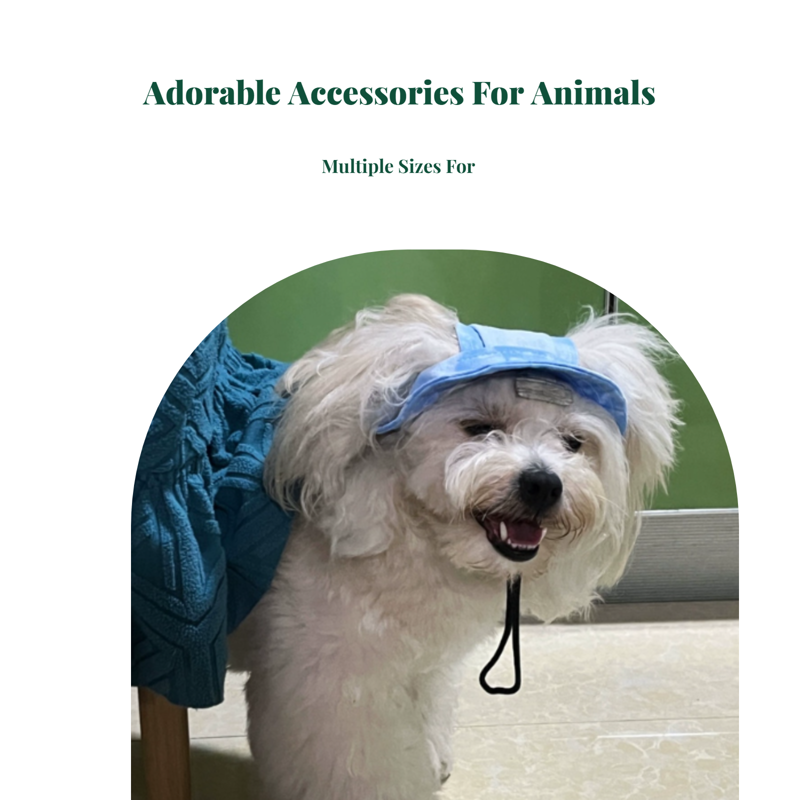 Dog Sun Hat, Adjustable, Lightweight, Summer, Beach