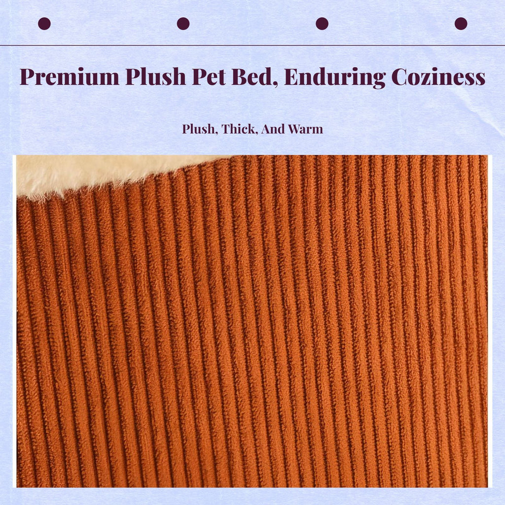 Removable plush cat bed offers indoor comfort