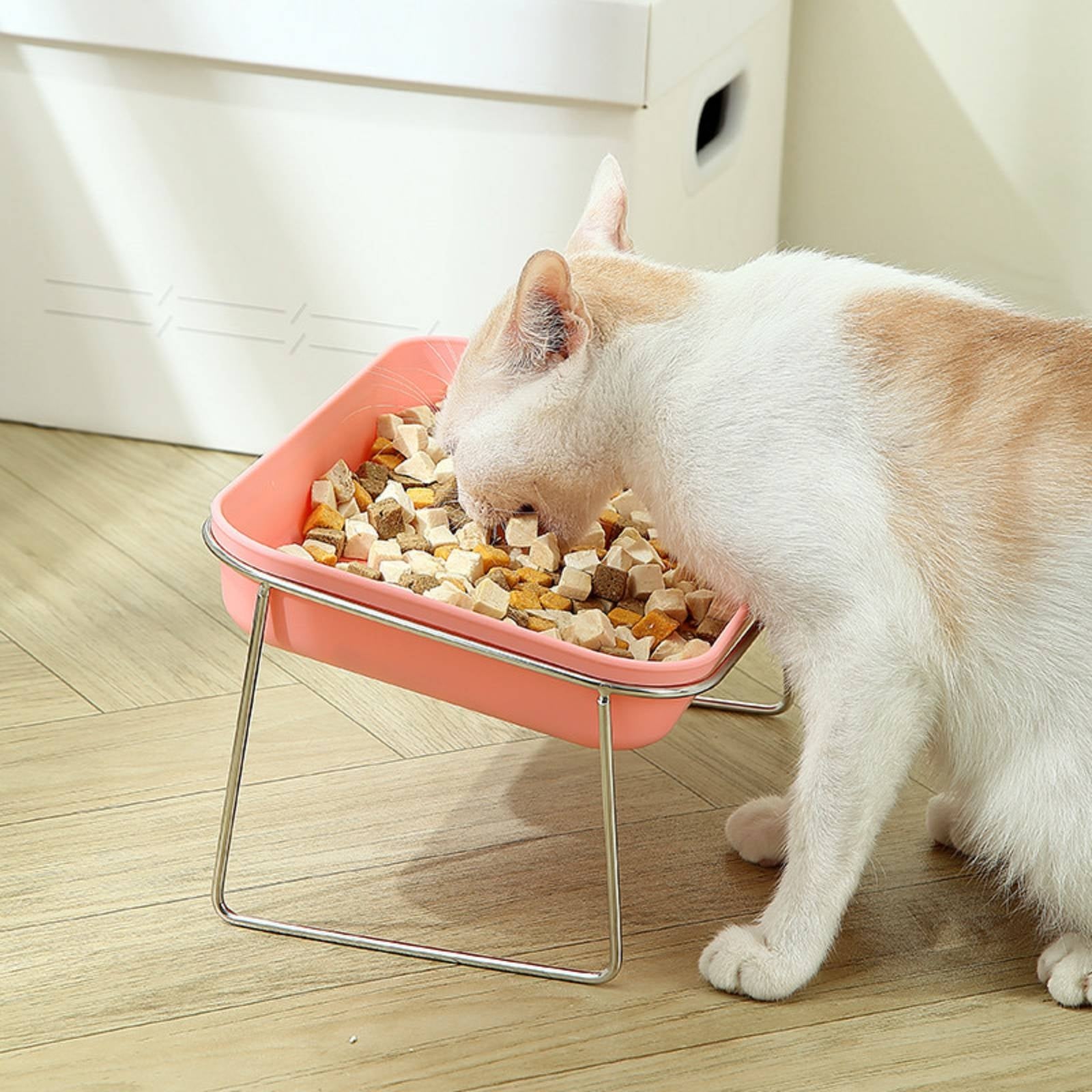 Rectangular Pet Bowl Deep PP Bowl Insert Glossy